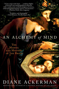 An Alchemy of Mind : The Marvel and Mystery of the Brain