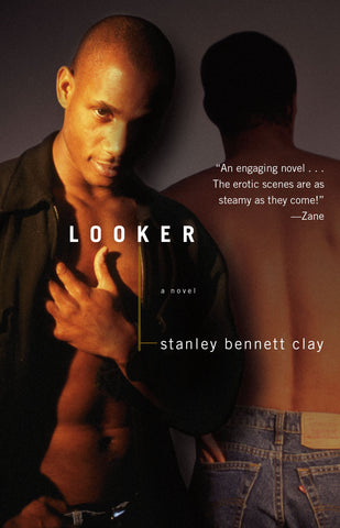 Looker : A Novel