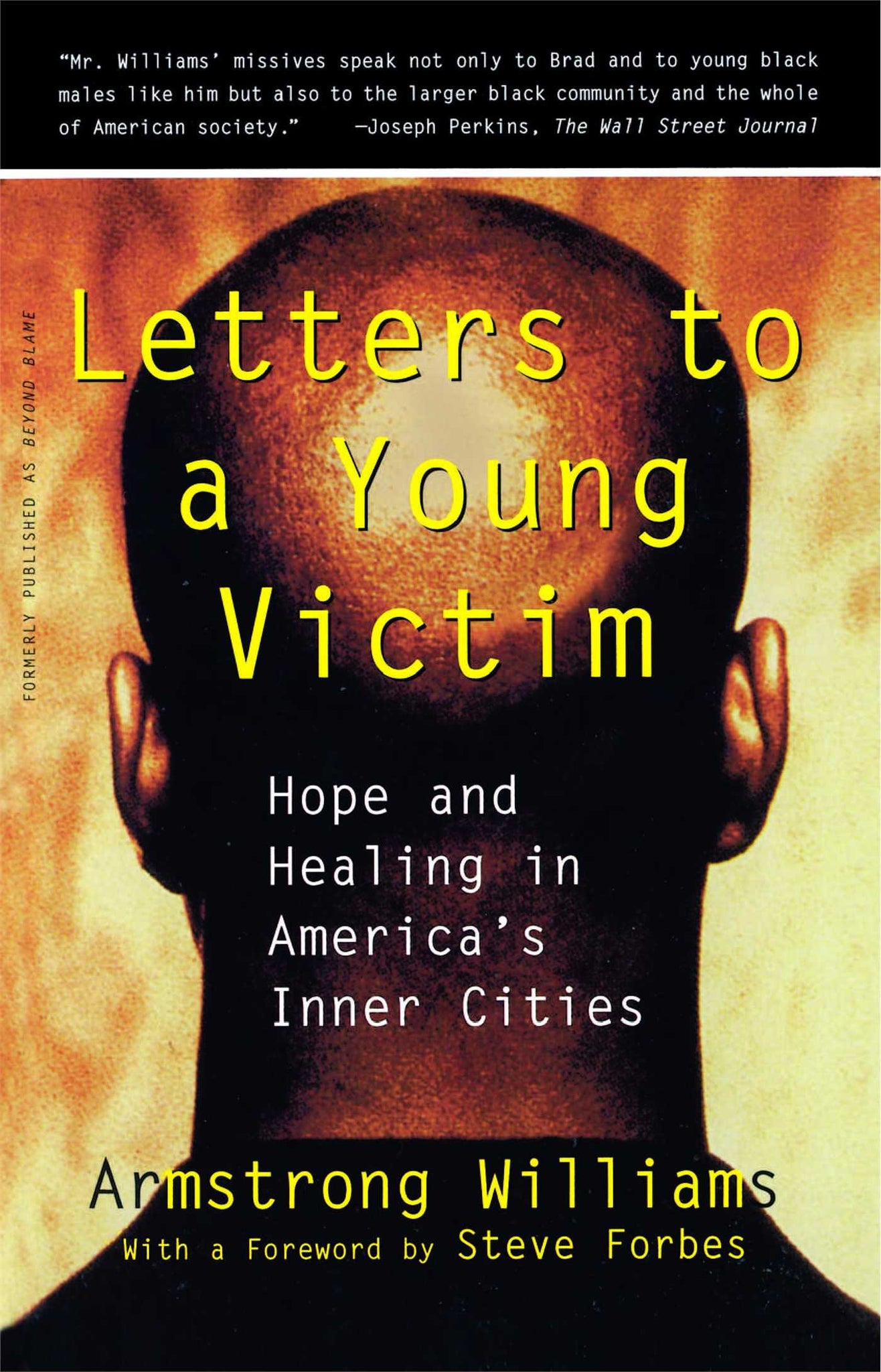 Letters to a Young Victim : Hope and Healing in America's Inner Cities