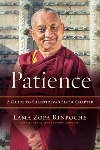 Patience : A Guide to Shantideva's Sixth Chapter