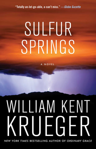 Sulfur Springs : A Novel