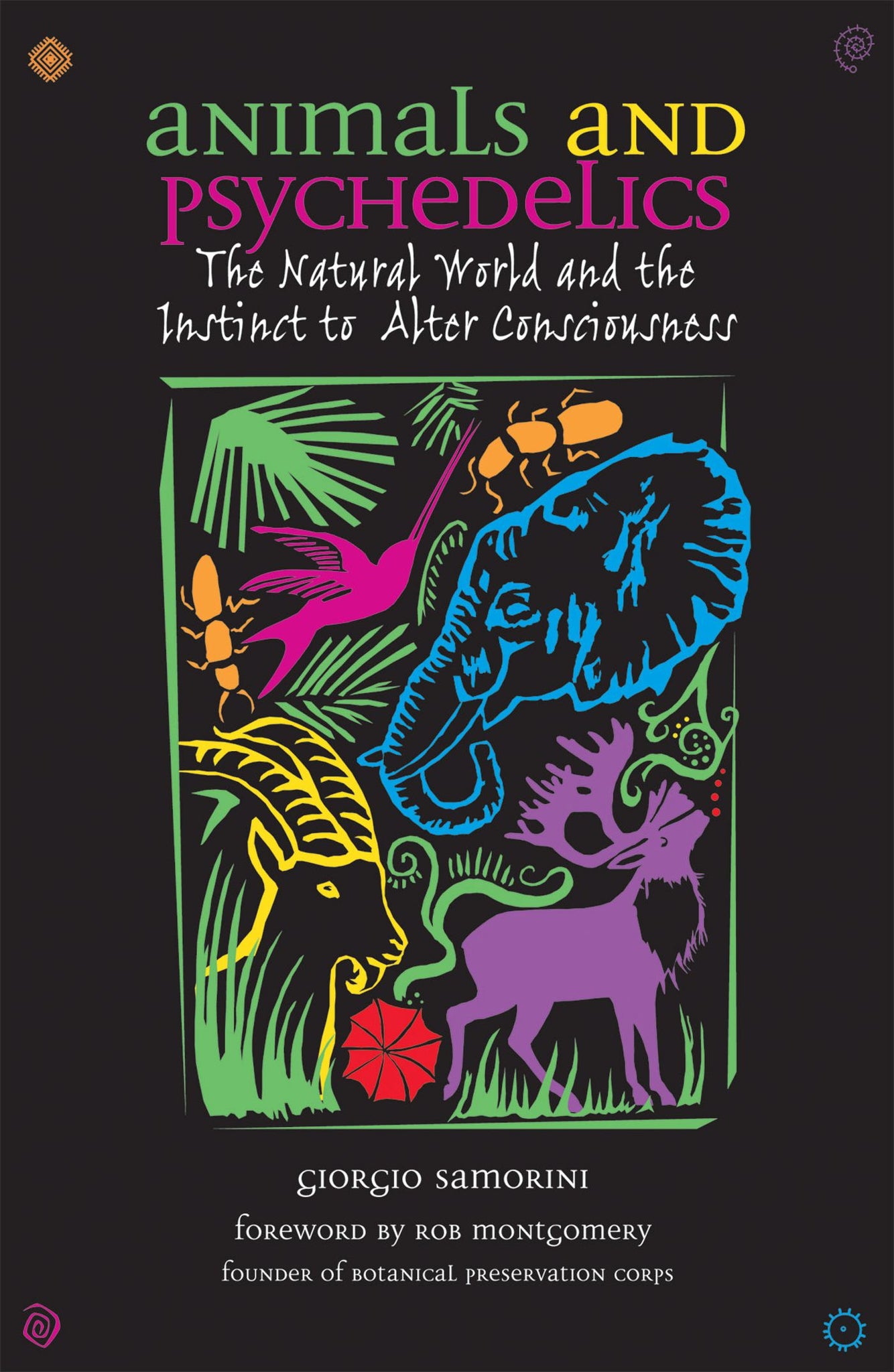 Animals and Psychedelics : The Natural World and the Instinct to Alter Consciousness