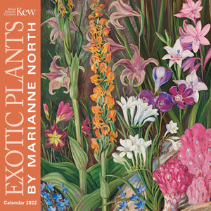 Kew Gardens: Exotic Plants by Marianne North Wall Calendar 2022 (Art Calendar)