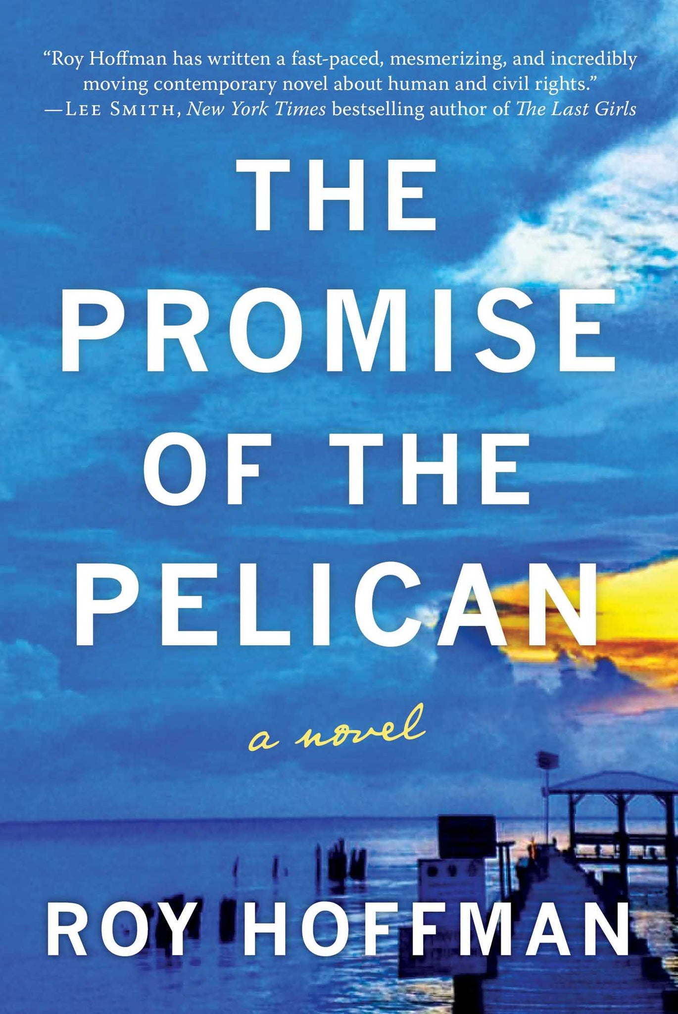 The Promise of the Pelican : A Novel