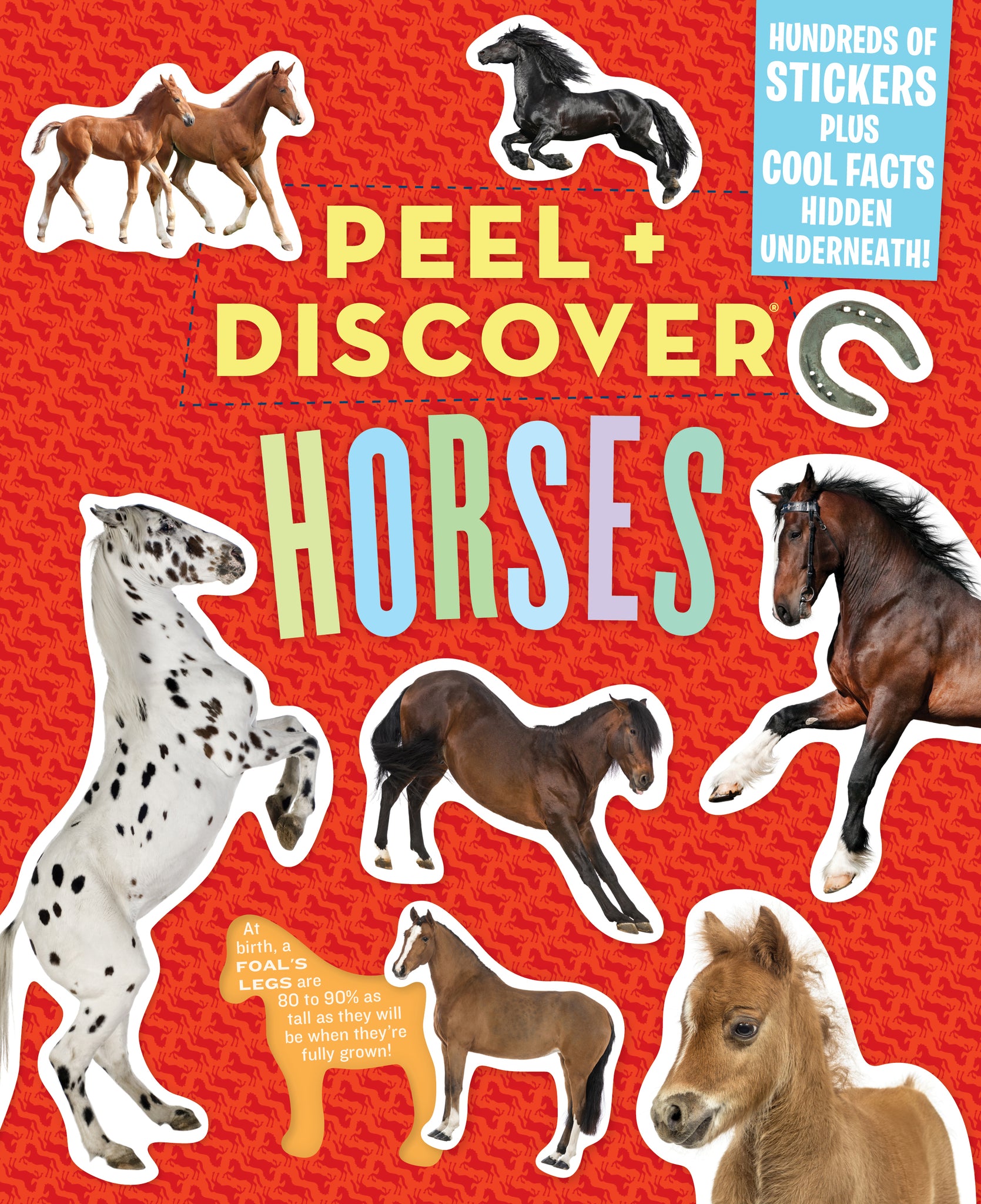 peel-discover-horses-pickwick-bookshop
