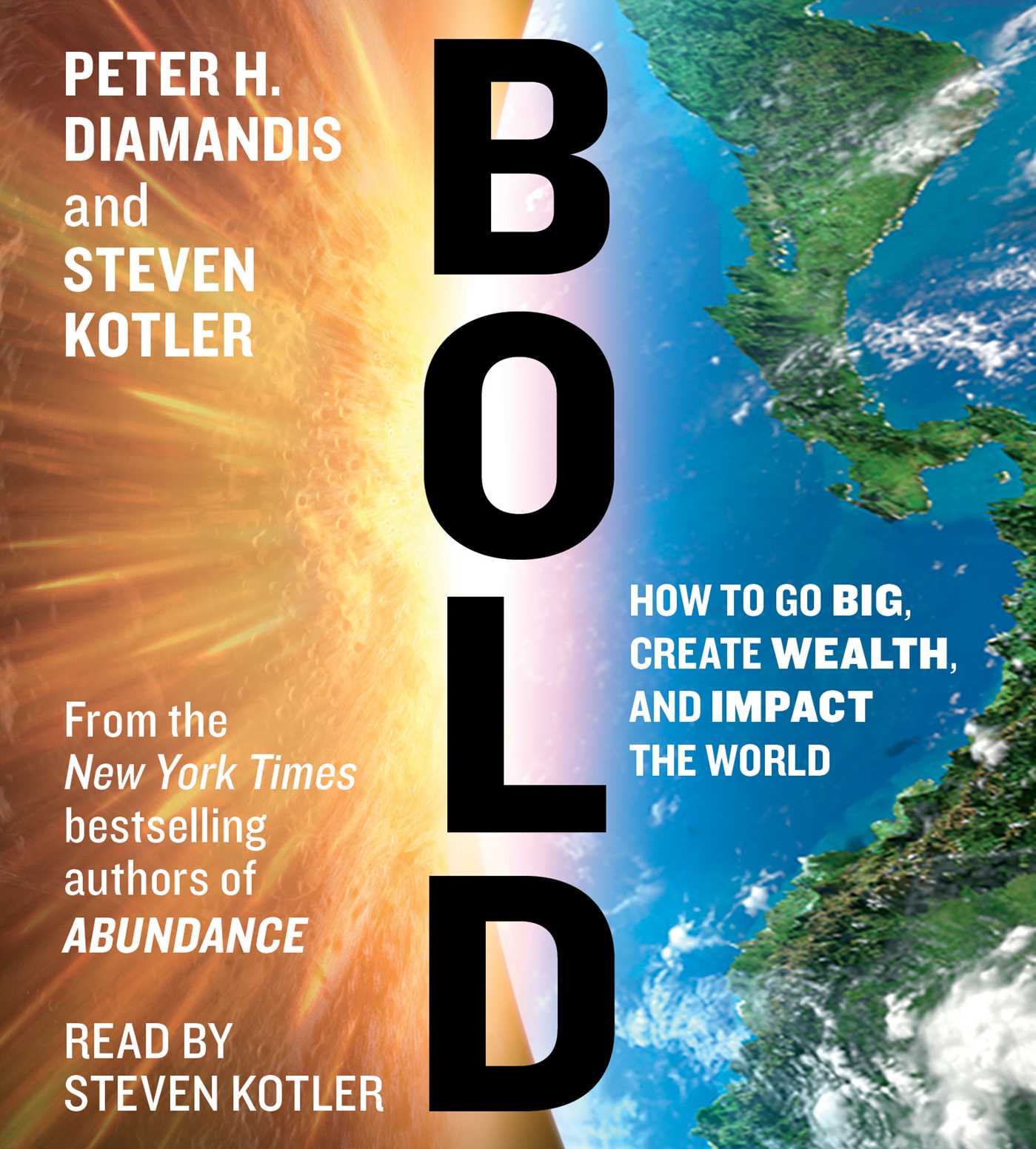 Bold : How to Go Big, Create Wealth and Impact the World