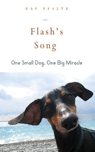 Flash's Song : How One Small Dog Turned into One Big Miracle