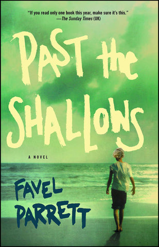 Past the Shallows : A Novel