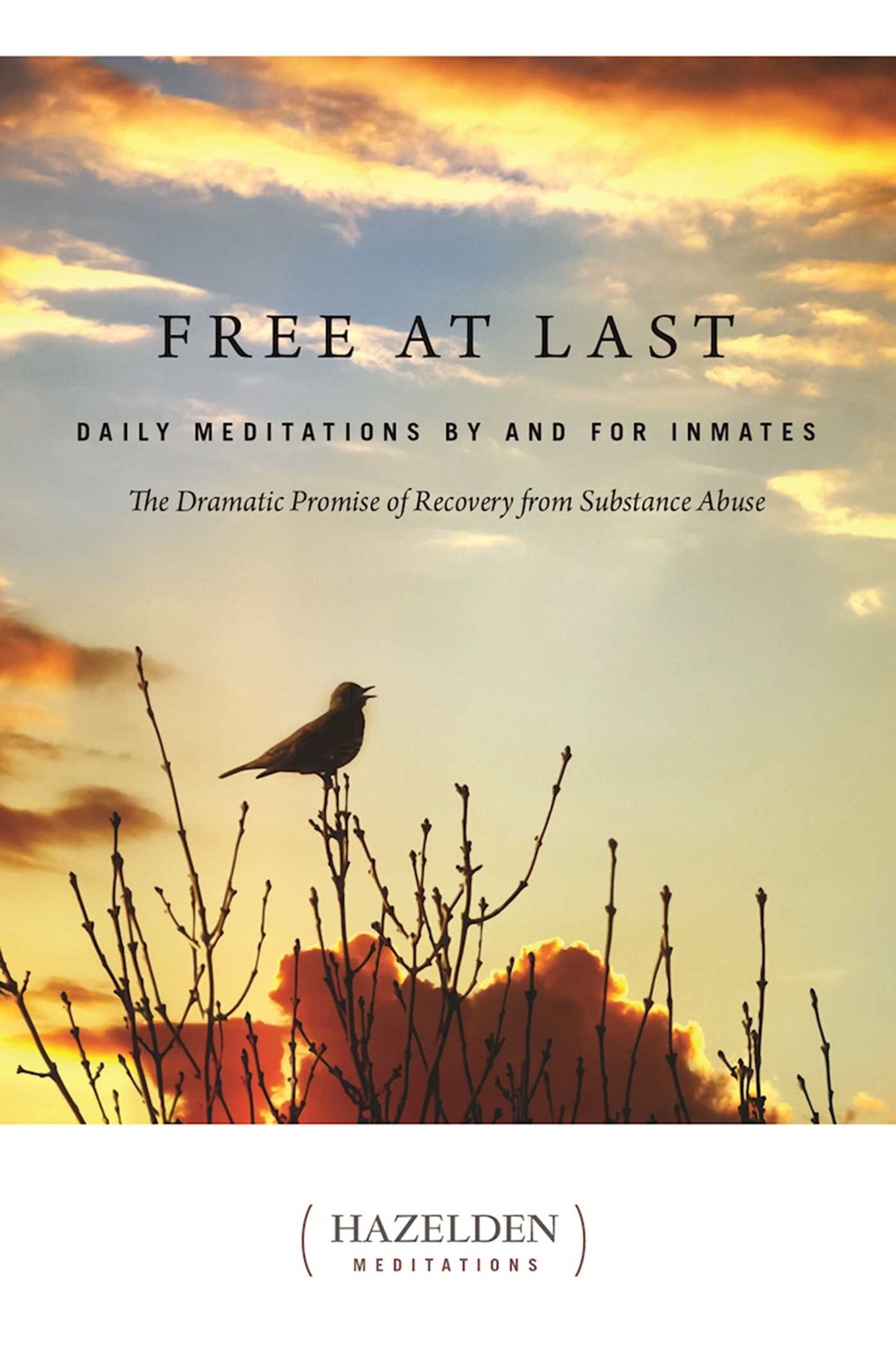 Free at Last : Daily Meditations by and for Inmates
