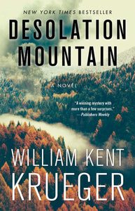 Desolation Mountain : A Novel