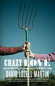 Crazy Love : A Novel