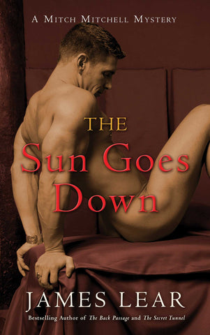 Sun Goes Down : A Mitch Mitchell Mystery