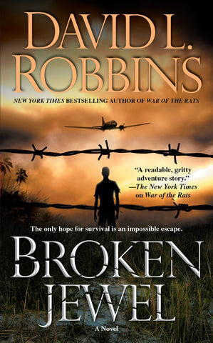 Broken Jewel : A Novel