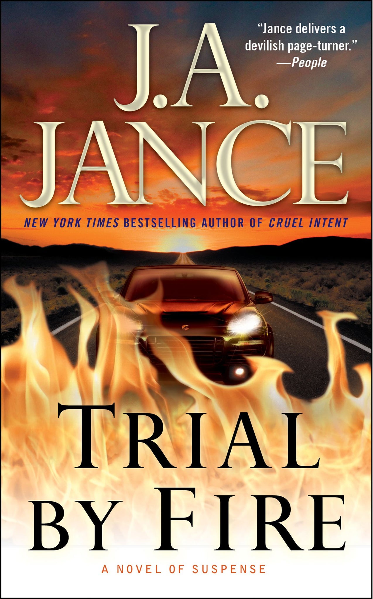 Trial by Fire : A Novel of Suspense