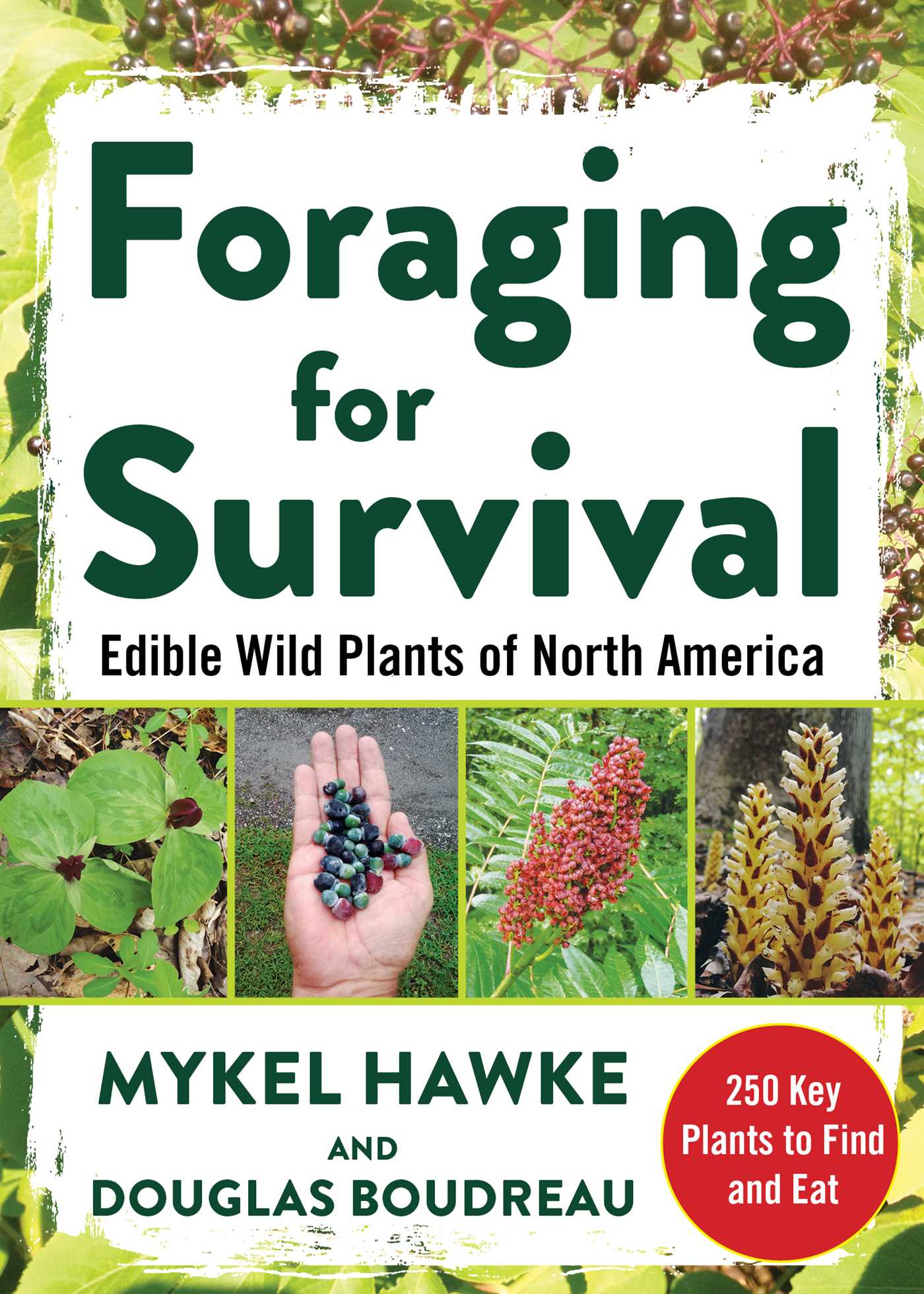 Foraging for Survival : Edible Wild Plants of North America