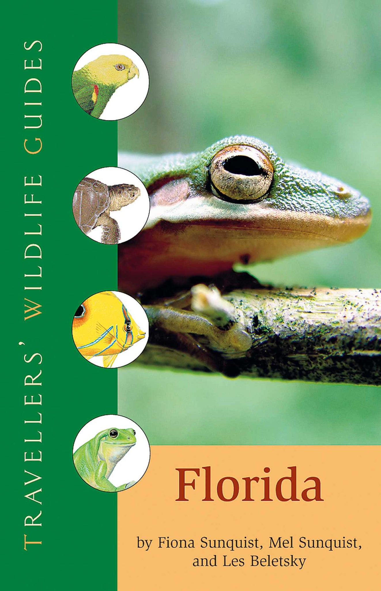 Florida (Traveller's Wildlife Guides) : Traveller's Wildlife Guide