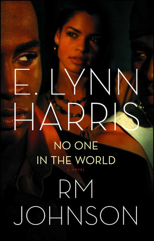 No One in the World : A Novel