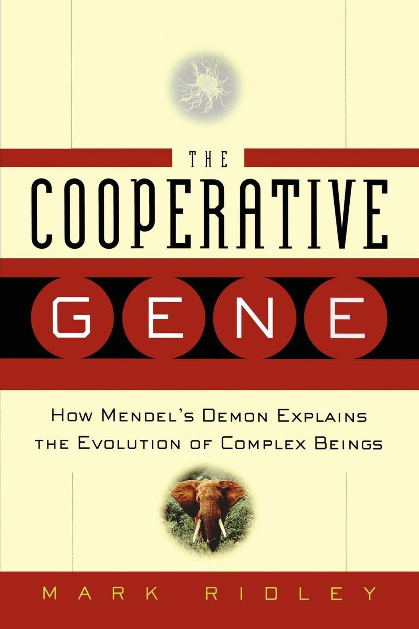 Cooperative Gene