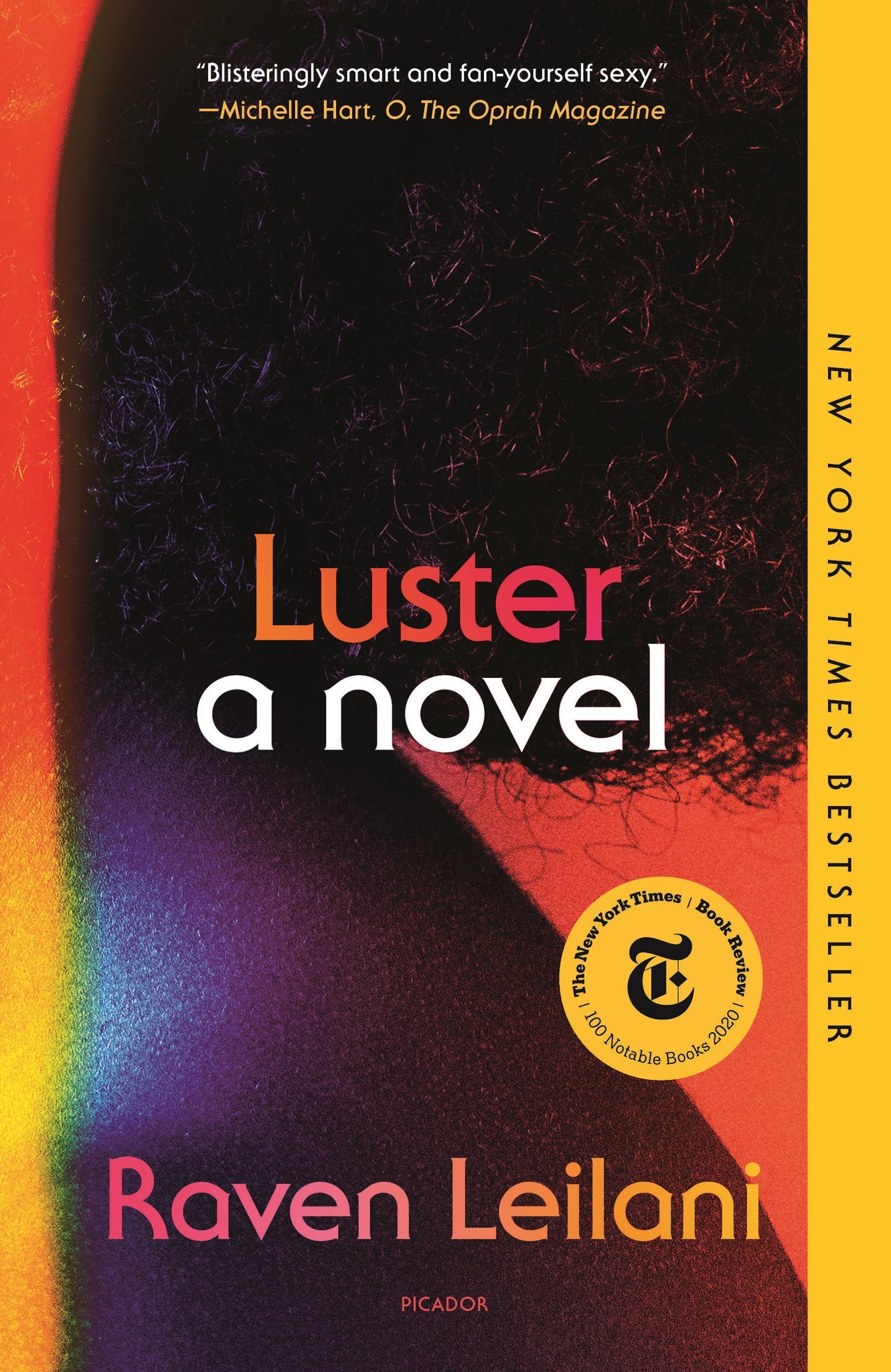 Luster : A Novel