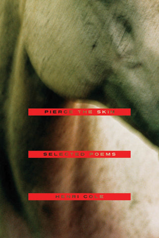 Pierce the Skin : Selected Poems, 1982-2007