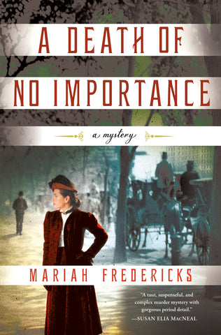 A Death of No Importance : A Novel