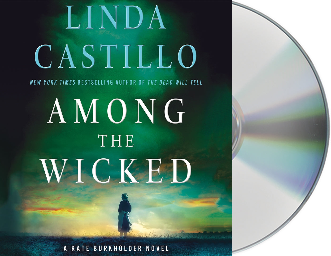 Among the Wicked : A Kate Burkholder Novel