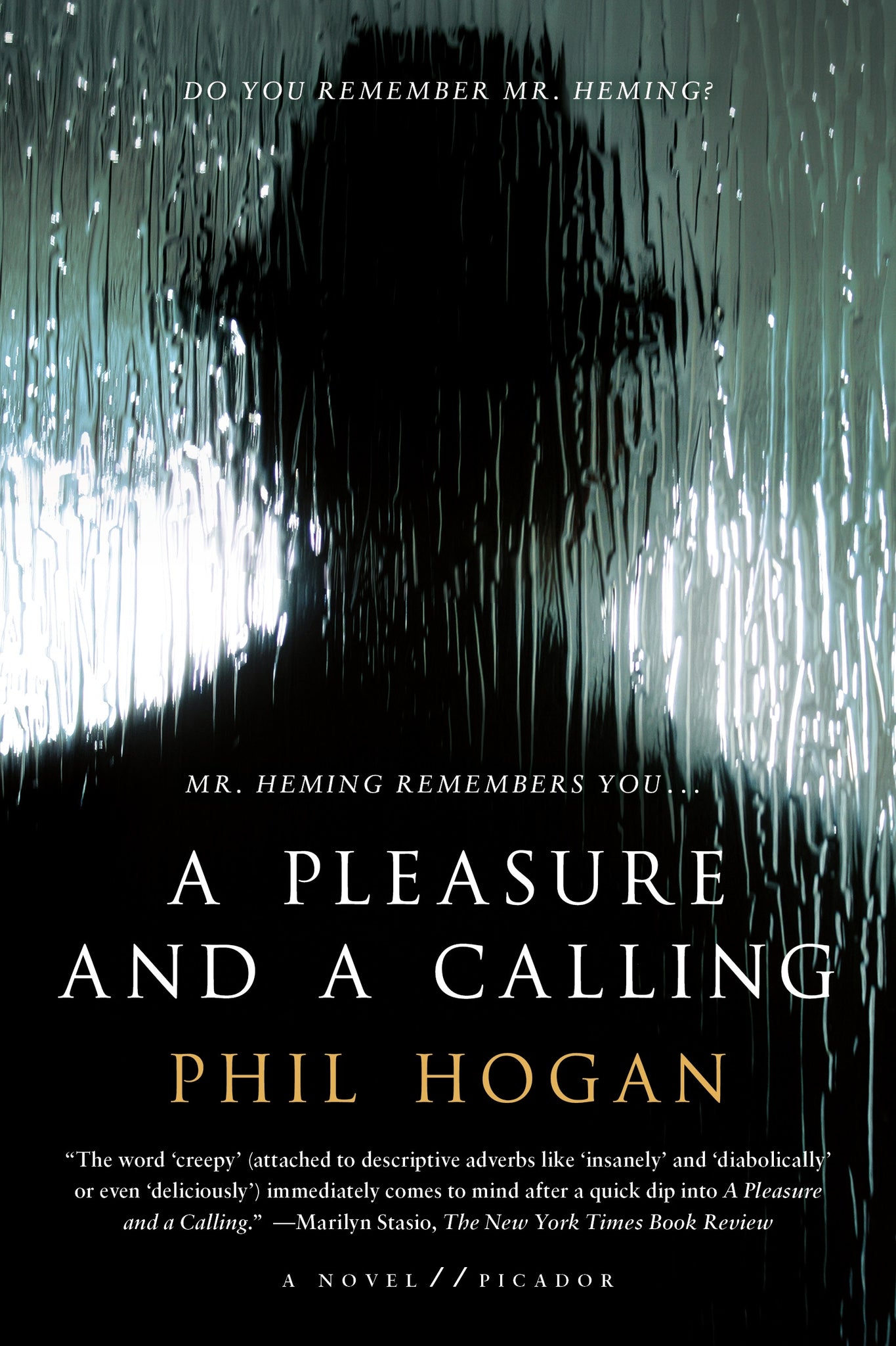 A Pleasure and a Calling : A Novel