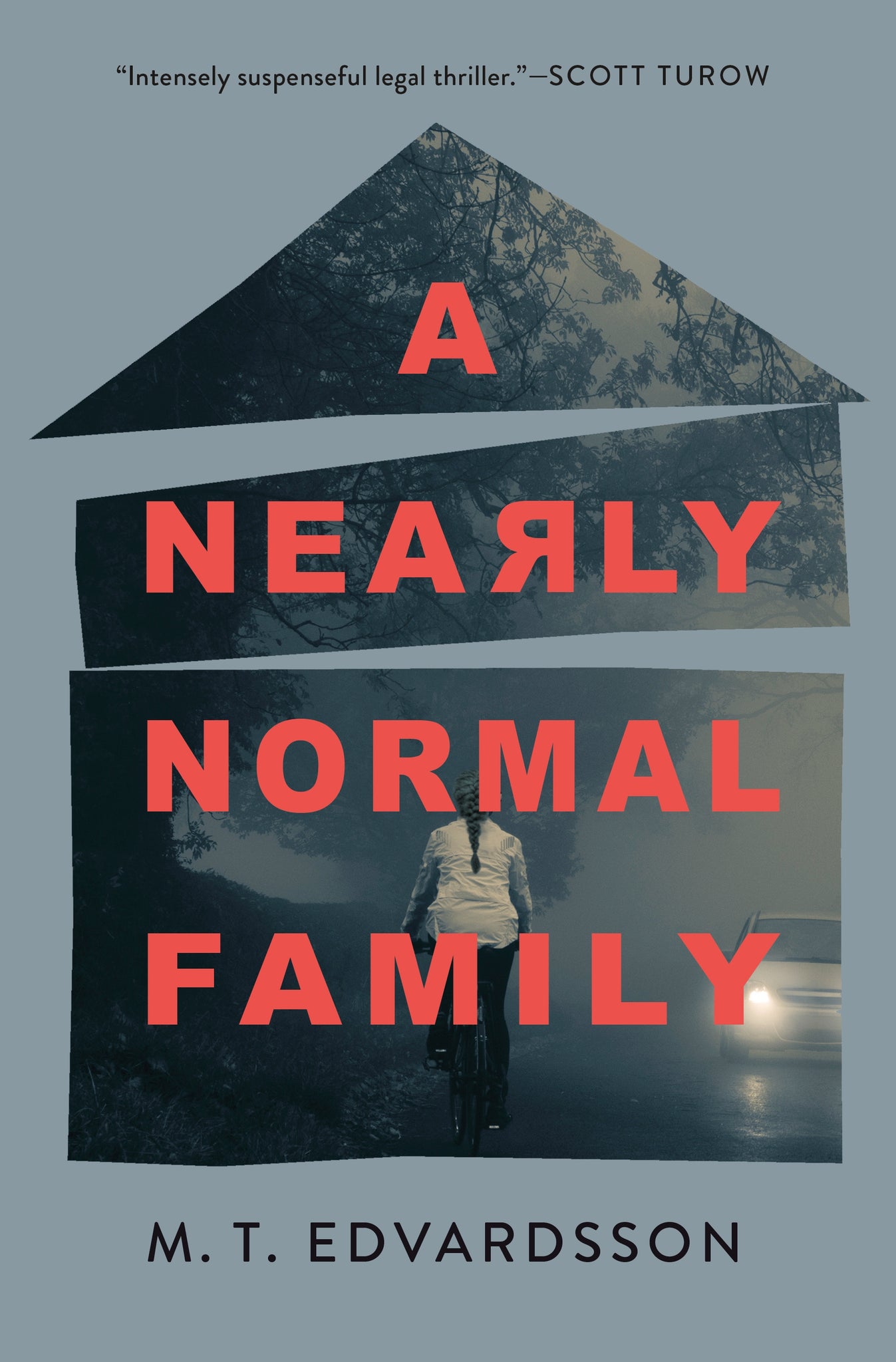 A Nearly Normal Family : A Novel