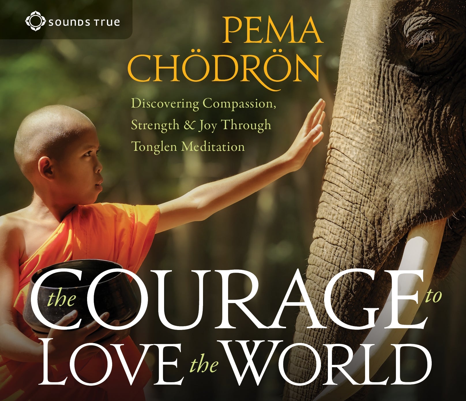 The Courage to Love the World : Discovering Compassion, Strength, and Joy Through Tonglen Meditation