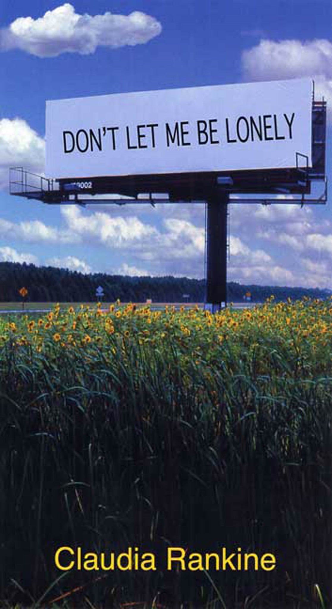 Don't Let Me Be Lonely : An American Lyric