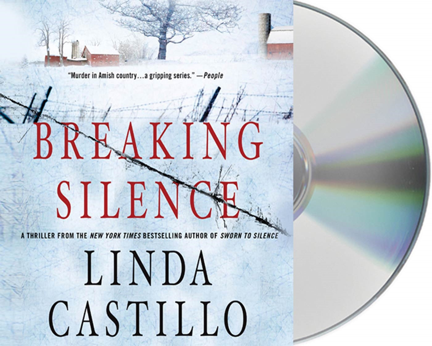 Breaking Silence : A Kate Burkholder Novel