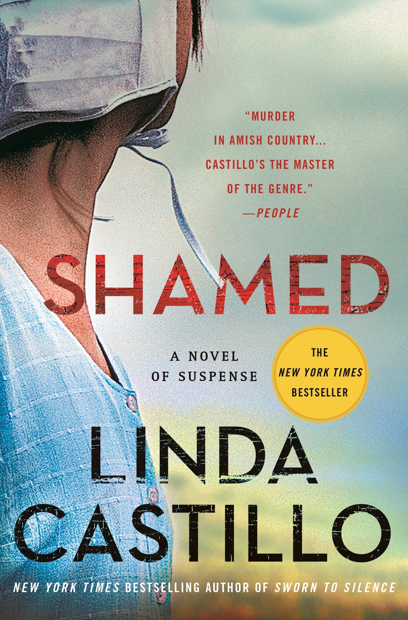 Shamed : A Novel of Suspense