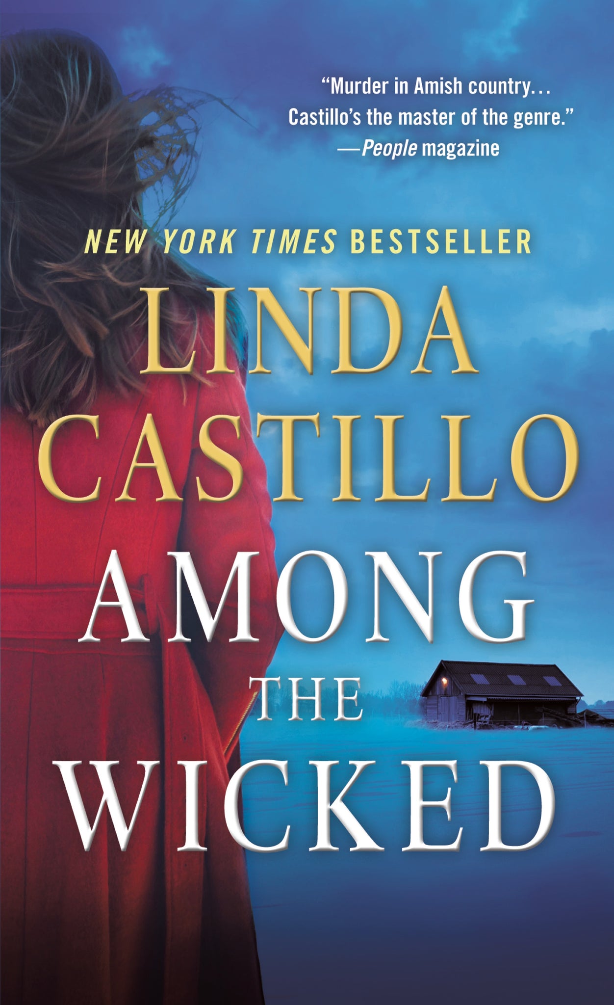 Among the Wicked : A Kate Burkholder Novel