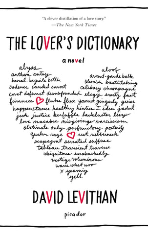 The Lover's Dictionary : A Novel