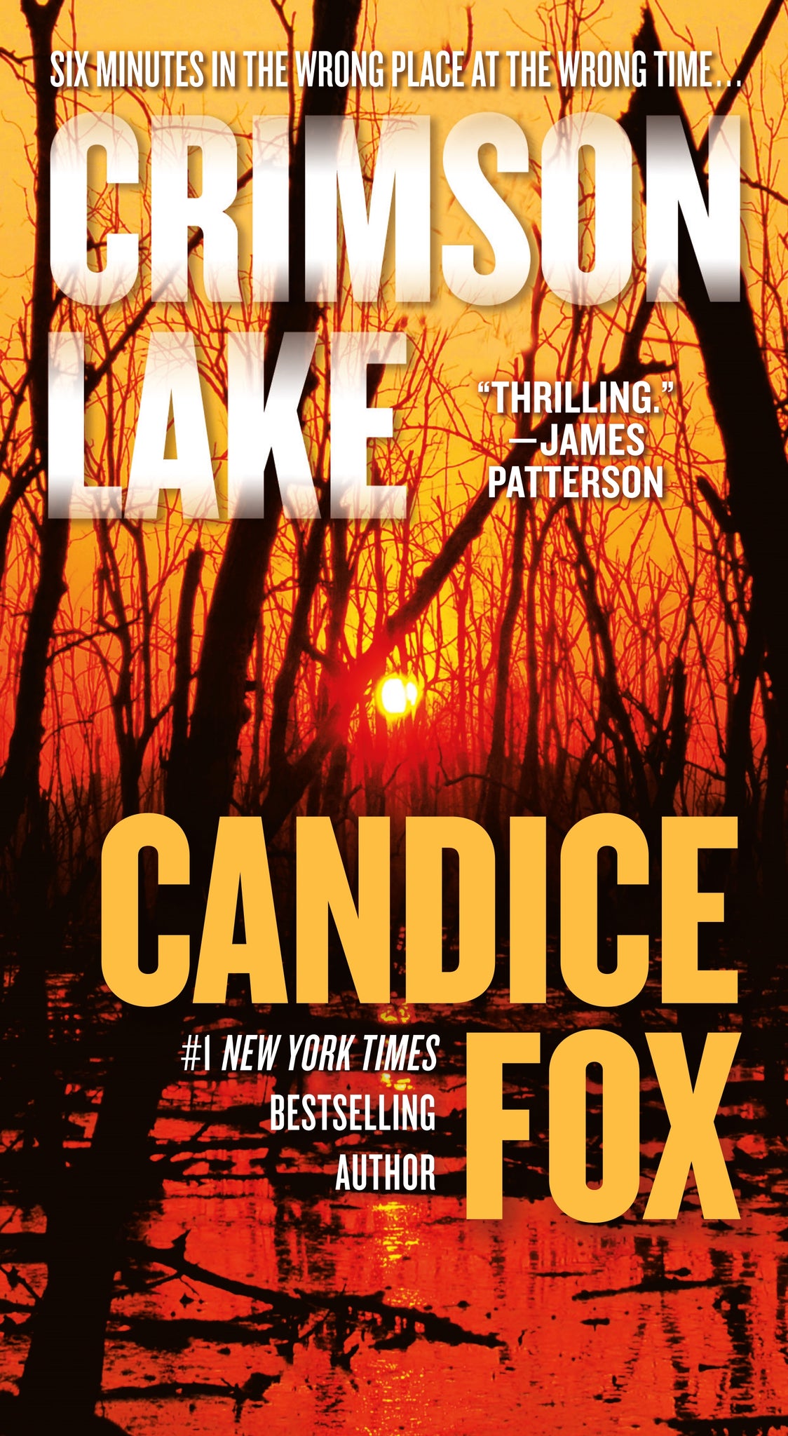 Crimson Lake : A Novel