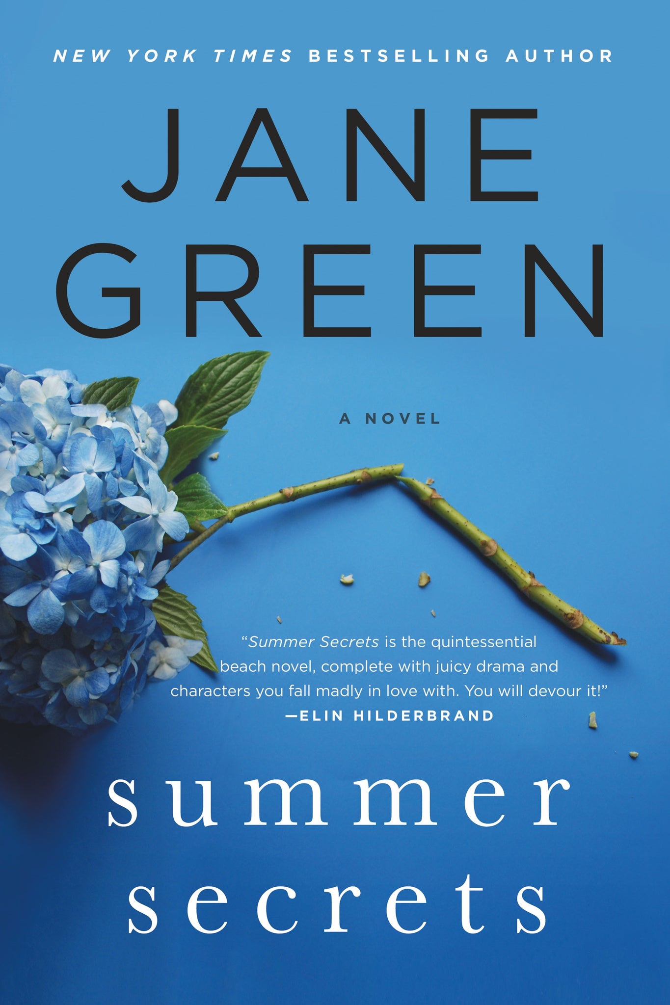 Summer Secrets : A Novel