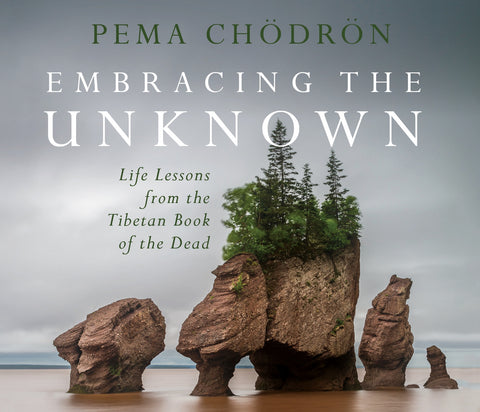 Embracing the Unknown : Life Lessons from the Tibetan Book of the Dead