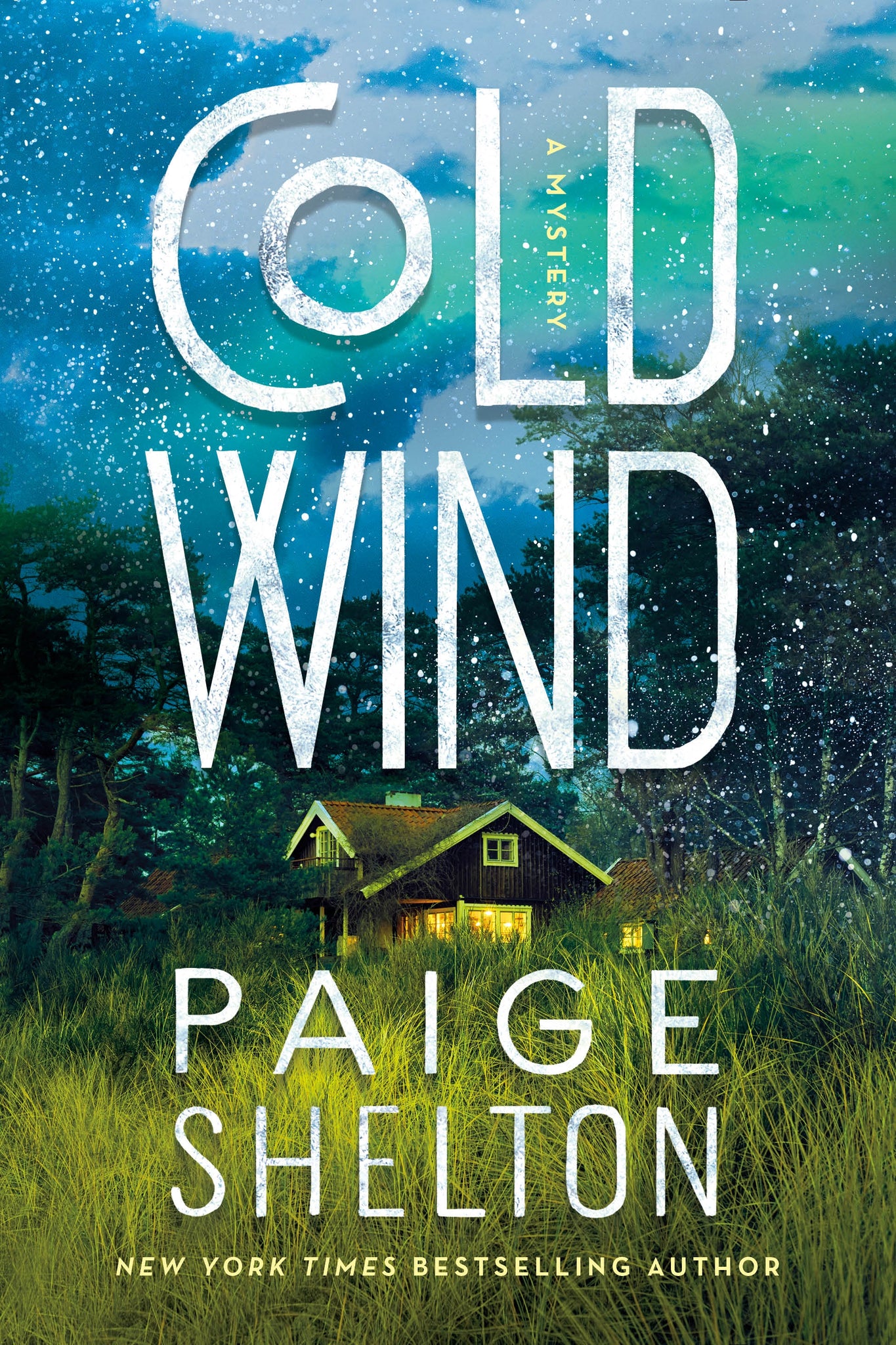 Cold Wind : A Mystery