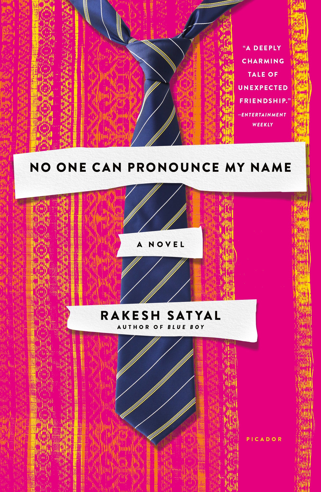 No One Can Pronounce My Name : A Novel