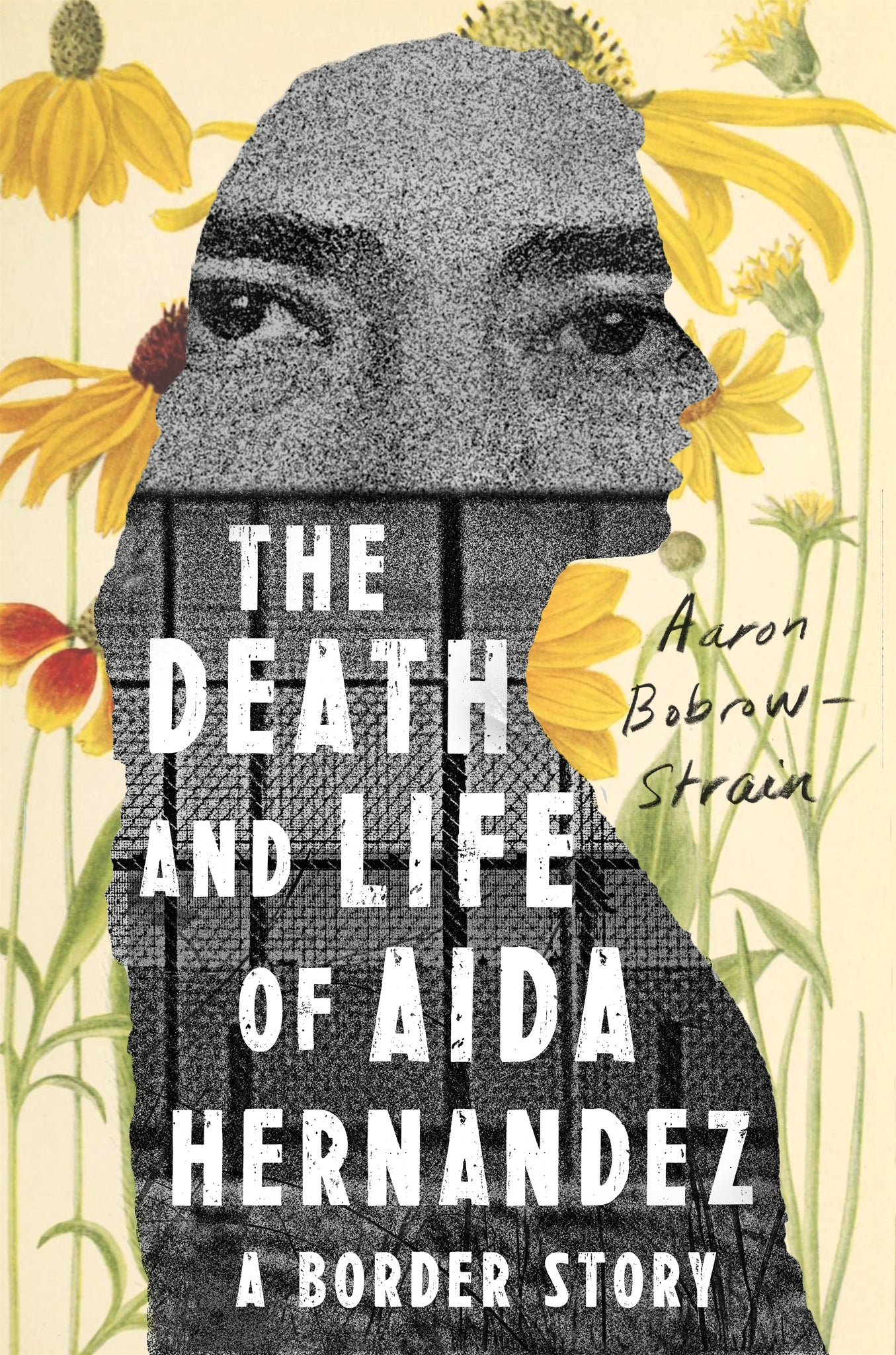 The Death and Life of Aida Hernandez : A Border Story