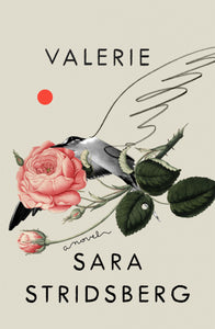 Valerie : or, The Faculty of Dreams: A Novel