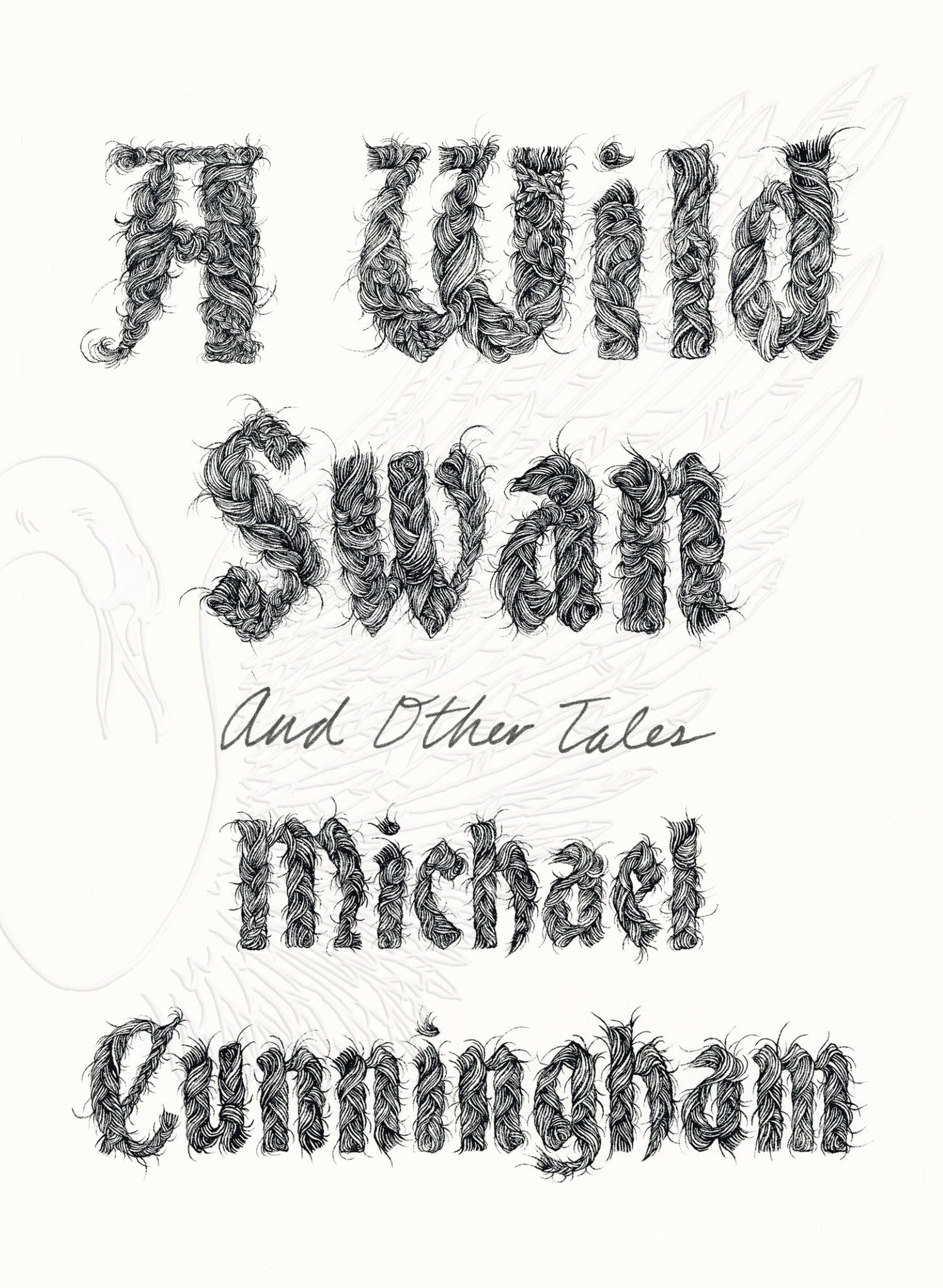 A Wild Swan : And Other Tales