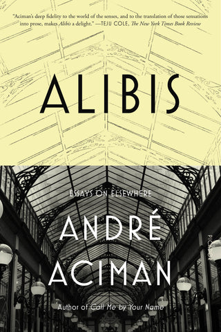 Alibis : Essays on Elsewhere