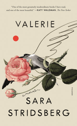 Valerie : or, The Faculty of Dreams: A Novel