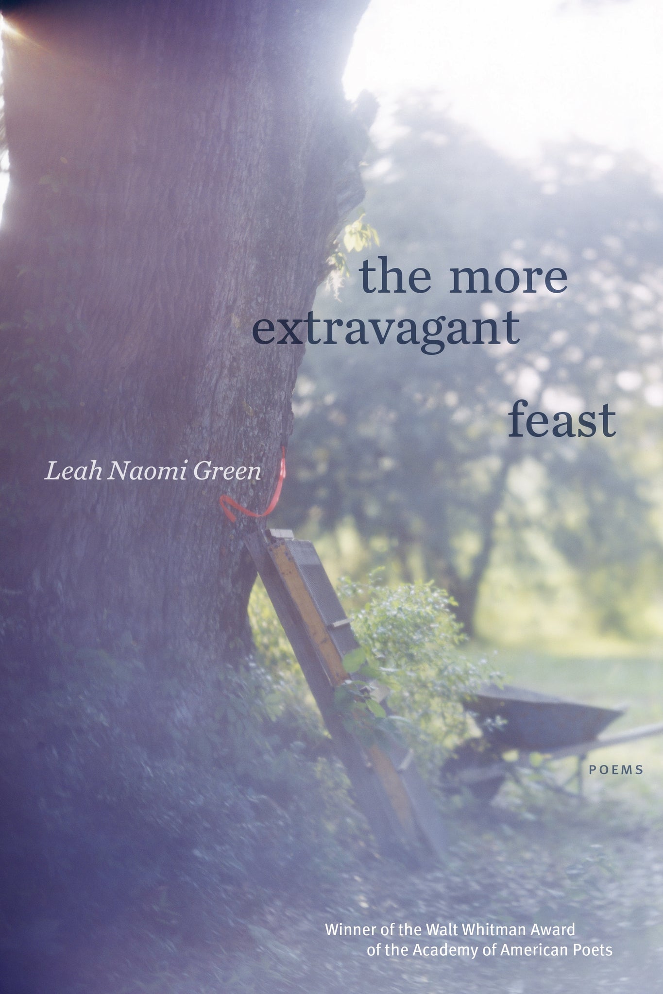 The More Extravagant Feast : Poems