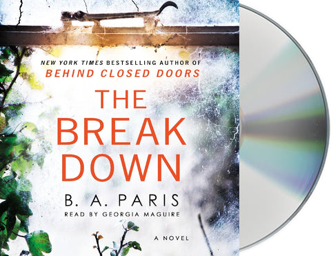 The Breakdown : A Novel