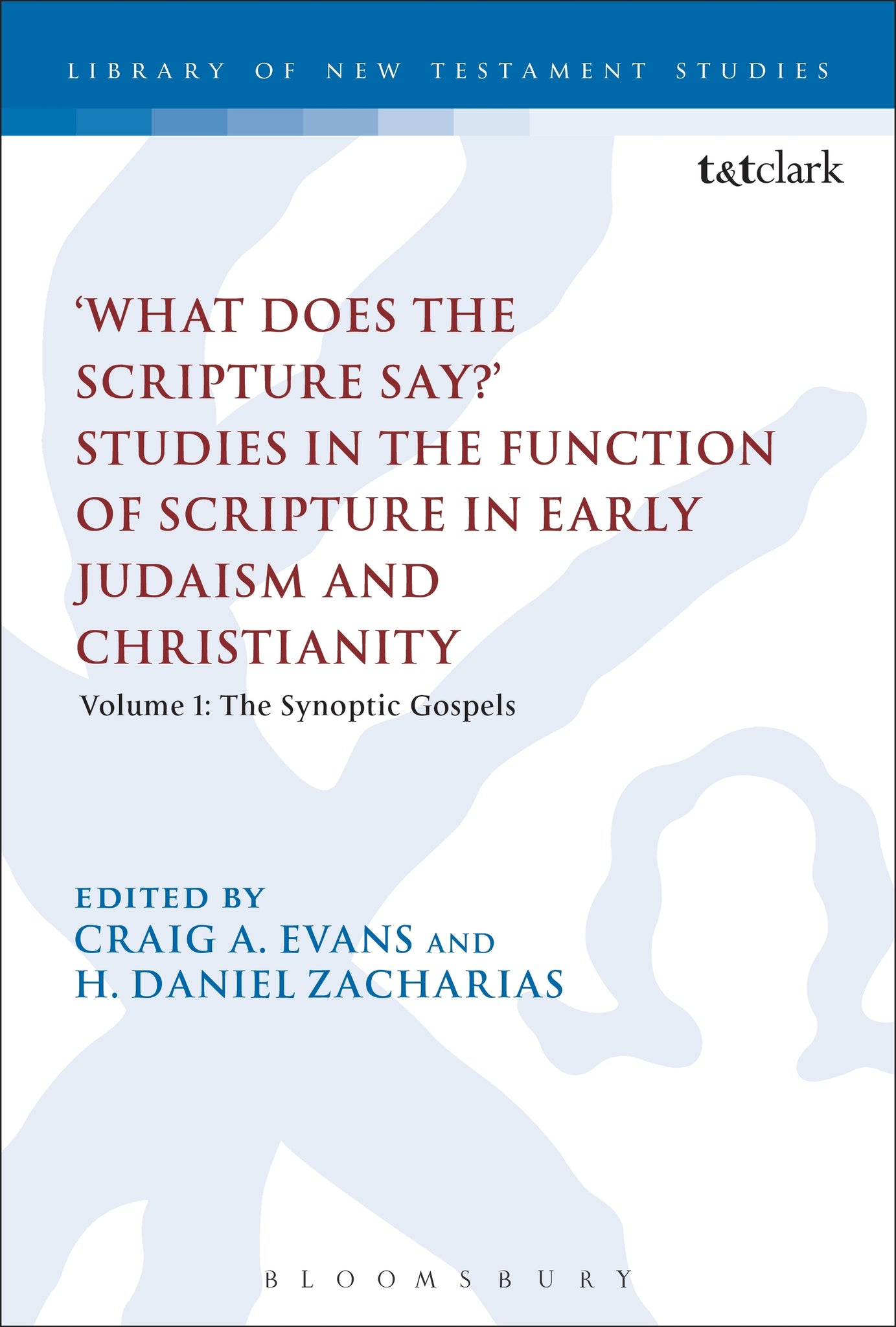 'What Does the Scripture Say?' Studies in the Function of Scripture in Early Judaism and Christianity, Volume 1 : Volume 1: The Synoptic Gospels