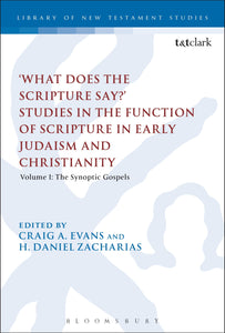 'What Does the Scripture Say?' Studies in the Function of Scripture in Early Judaism and Christianity, Volume 1 : Volume 1: The Synoptic Gospels