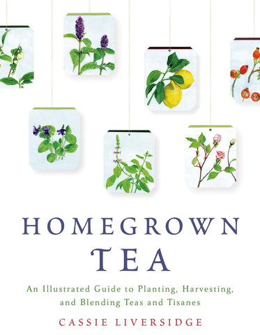 Homegrown Tea : An Illustrated Guide to Planting, Harvesting, and Blending Teas and Tisanes