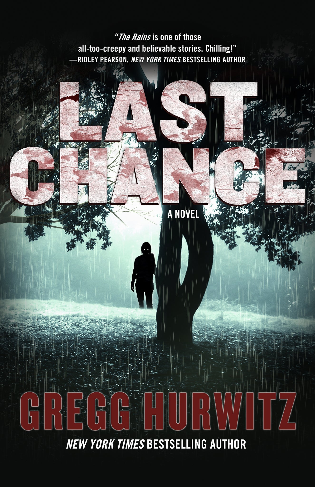 Last Chance : A Novel